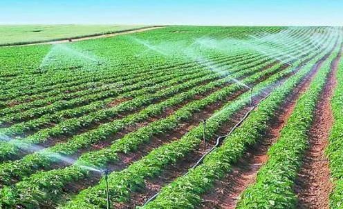 大鸡吧群交视频农田高 效节水灌溉